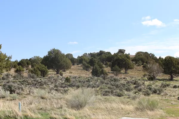 Enterprise, UT 84725,200 W 350 CIRN #53