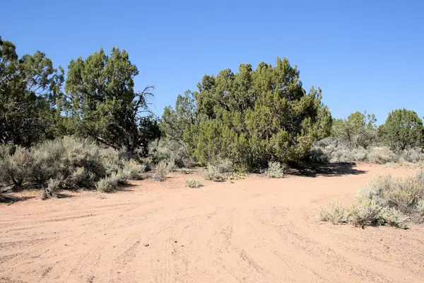 Apple Valley, UT 84737,59.86 Acres Little Creek Mesa RD