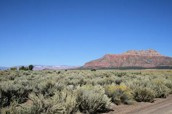 Apple Valley, UT 84737,59.86 Acres Little Creek Mesa RD