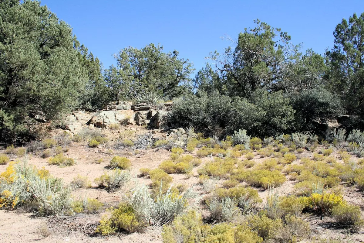 Apple Valley, UT 84737,42.58 Acres Little Creek Mesa RD