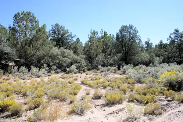 Apple Valley, UT 84737,42.58 Acres Little Creek Mesa RD