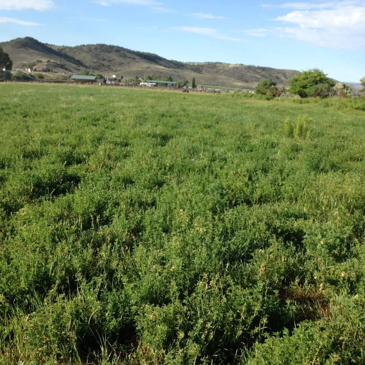 Loa, UT 84747,10 ACRES FREEMONT OFF HWY 72