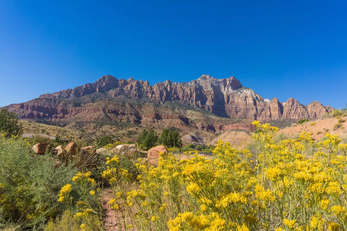 Springdale, UT 84767,Lot 23 Canyon Cove Circle  #Lot 23