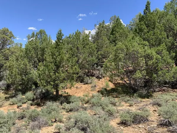 Duck Creek, UT 84762,Lot 3 Kosherm Way