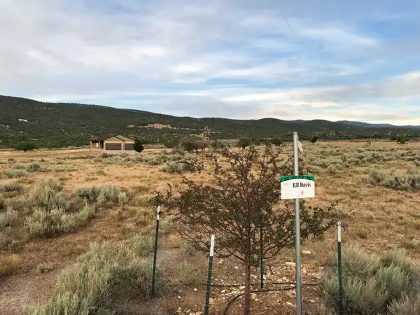 Fairview, UT 84629,23515 N 12000 E RB Davis Lot #3