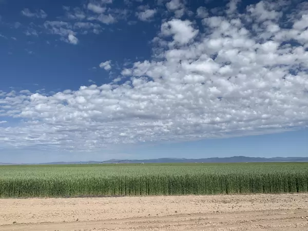 Newcastle, UT 84756,5.06 acres on 1400 E (lot 6C)