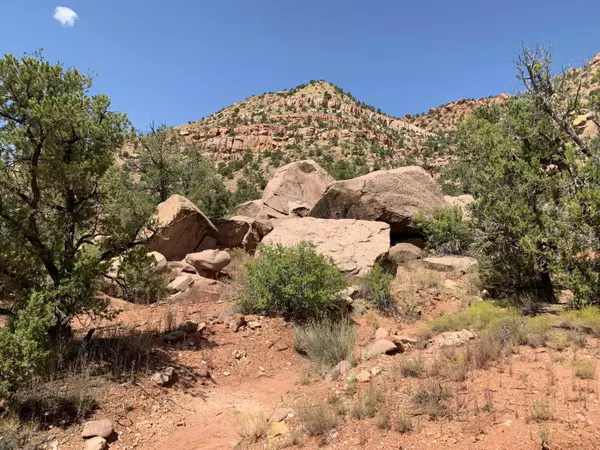 Apple Valley, UT 84737,20 Acres Along Ranch Rd in App