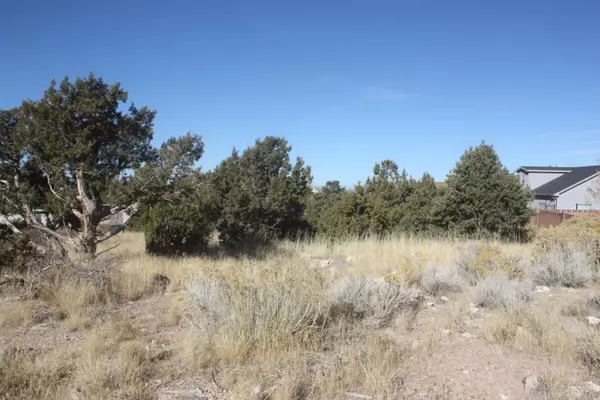 Cedar City, UT 84721,2055 N Lumberjack Way