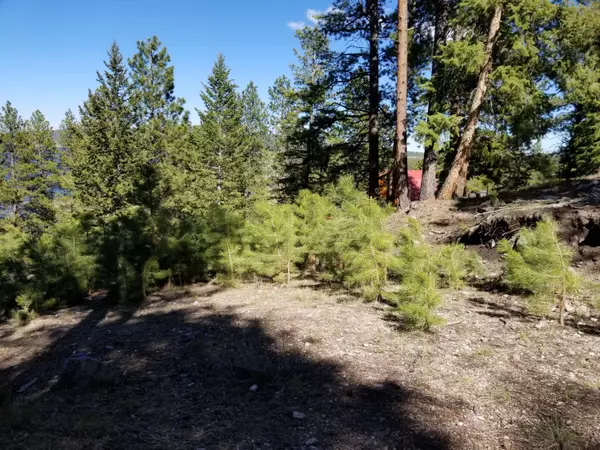 Panguitch, UT 84759,835 S RIDGE POINT DR #0013