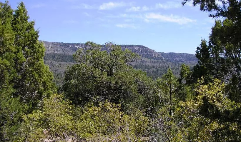 Glendale, UT 84729,Yates Dr Blk C #18