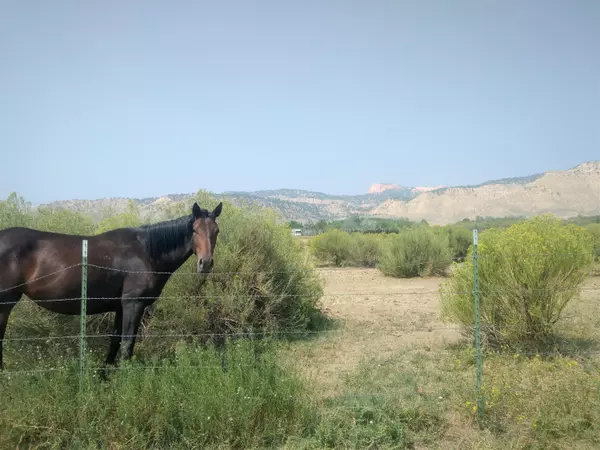 Address Not Disclosed