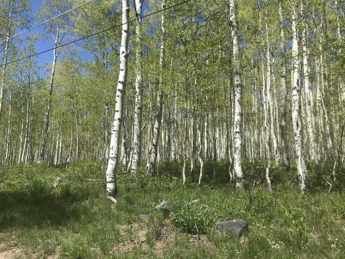 Midway, UT 84049,5328 N Rocky RD #57