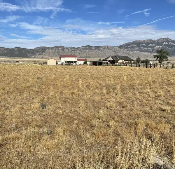 Scipio, UT 84656,S1/2 Lot 4, Block 5, Platt A,