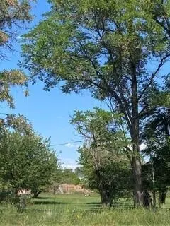 Address Not Disclosed