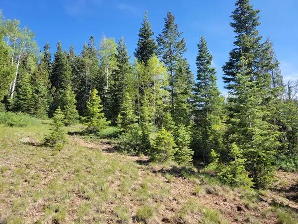 Brian Head, UT 84719,Braffits Creek Lot 61&62