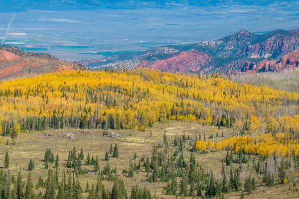 Brian Head, UT 84719,Lot 45 Flints Way, Aspen Meadows