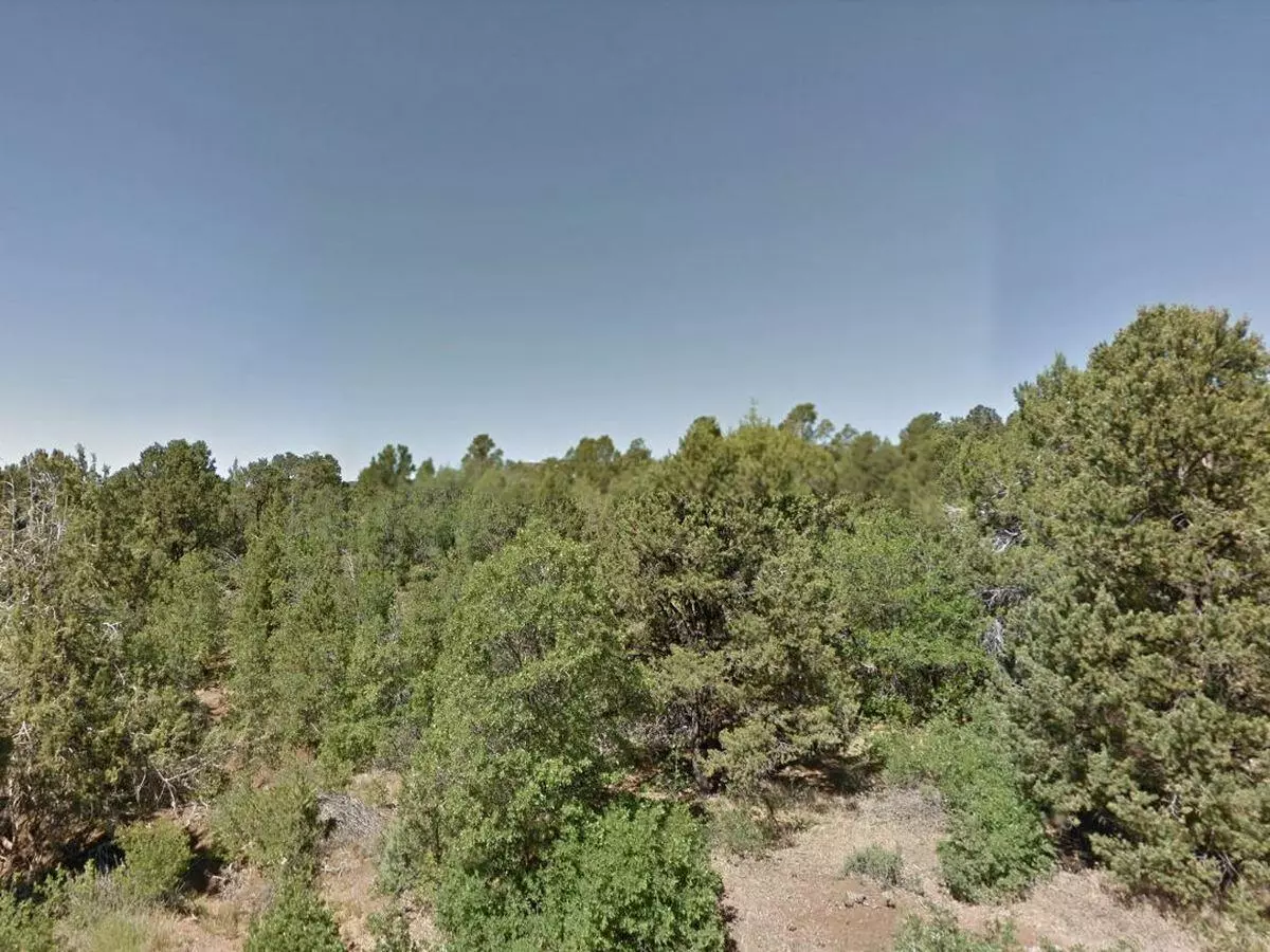 Duck Creek, UT 84762,Zion Hunting Est Blk 1 Lot 17  #17