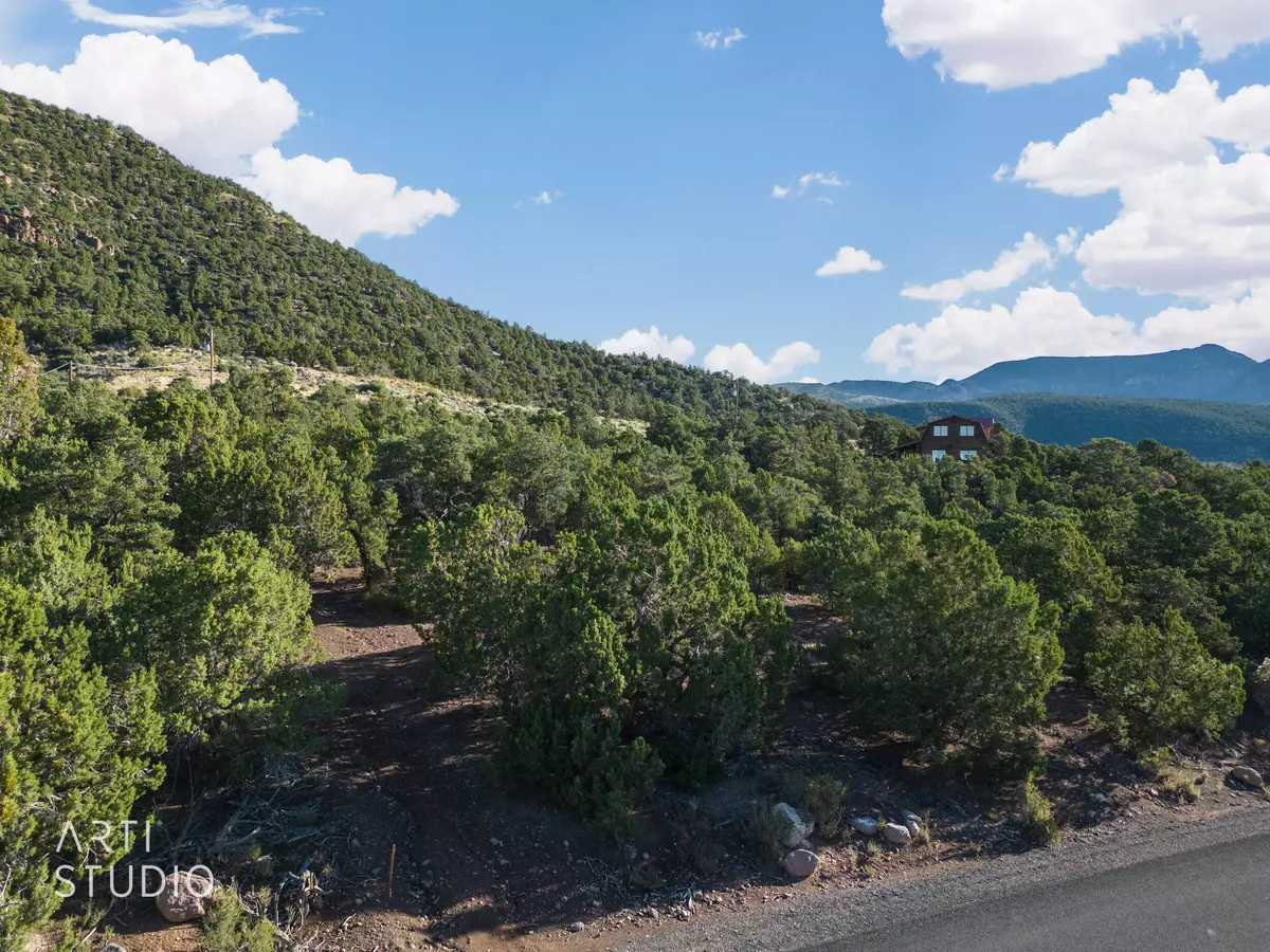 Central, UT 84722,Lot 19 Mule Deer Drive