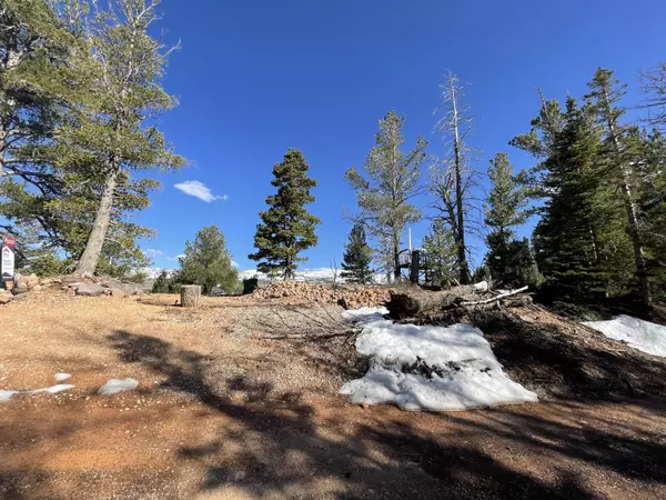 Brian Head, UT 84719,1224 N Aspen DR #2