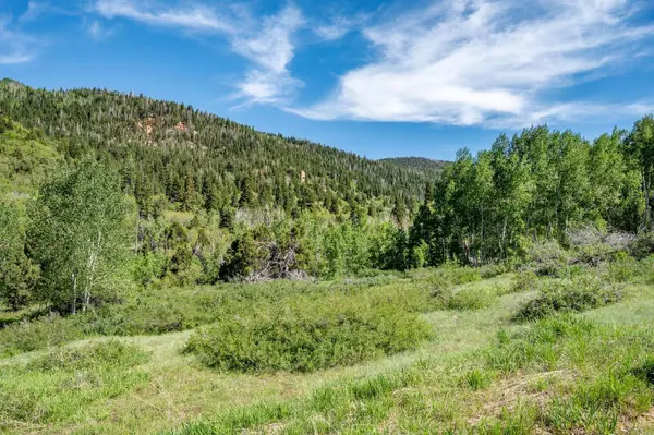 Summit, UT 84772,Braffits Creek  #Lot 60