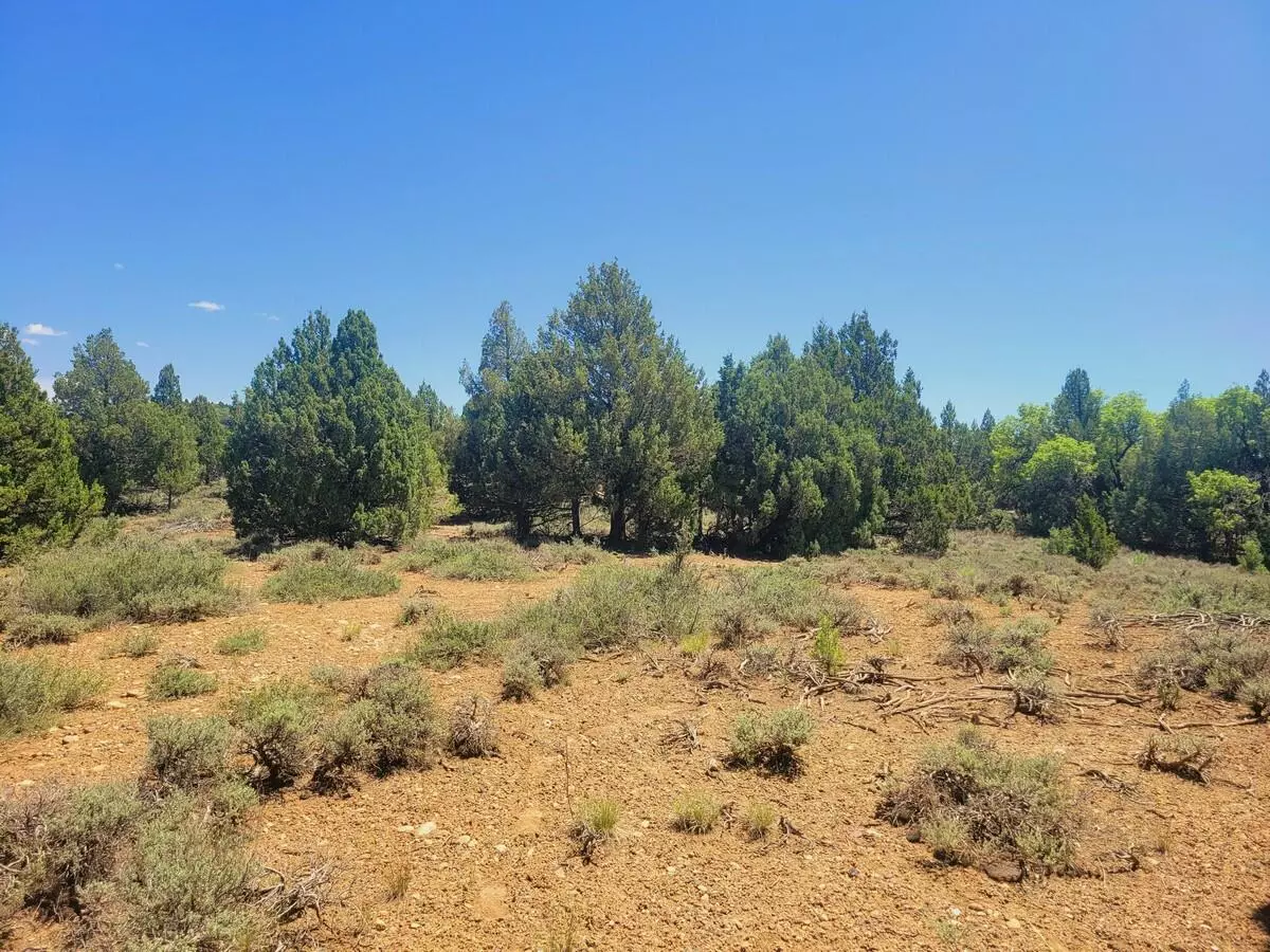 Duck Creek, UT 84762,Lot 30 Cree Way