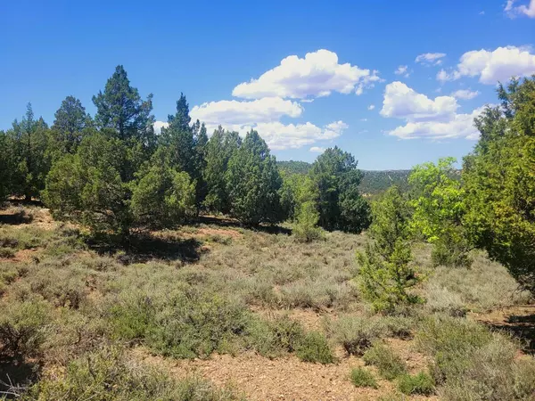 Duck Creek, UT 84762,Lot 30 Cree Way