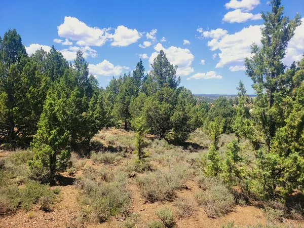 Duck Creek, UT 84762,Lot 30 Cree Way