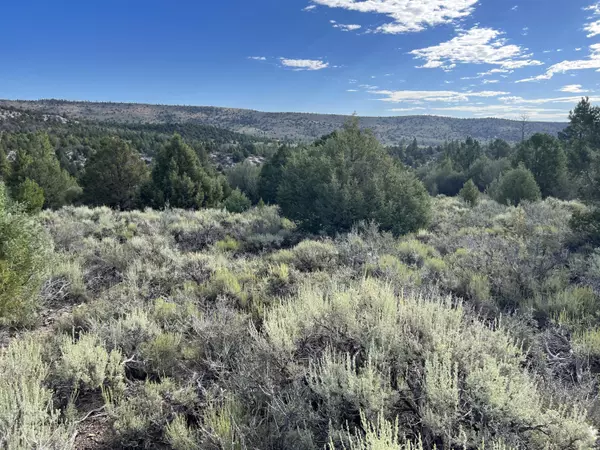 Panguitch, UT 84759,2.50 Ac by Sky Valley