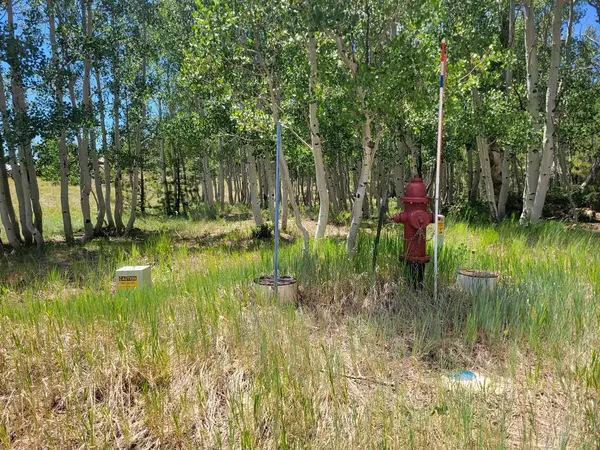 Duck Creek, UT 84762,4175 N Sundance Kid LN