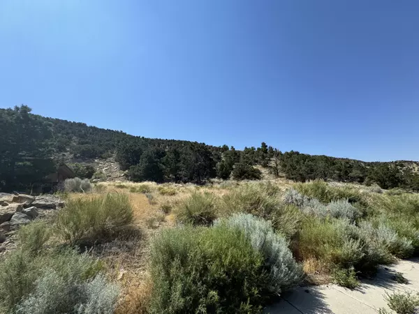 Cedar City, UT 84721,1920 N Mahogany CIR