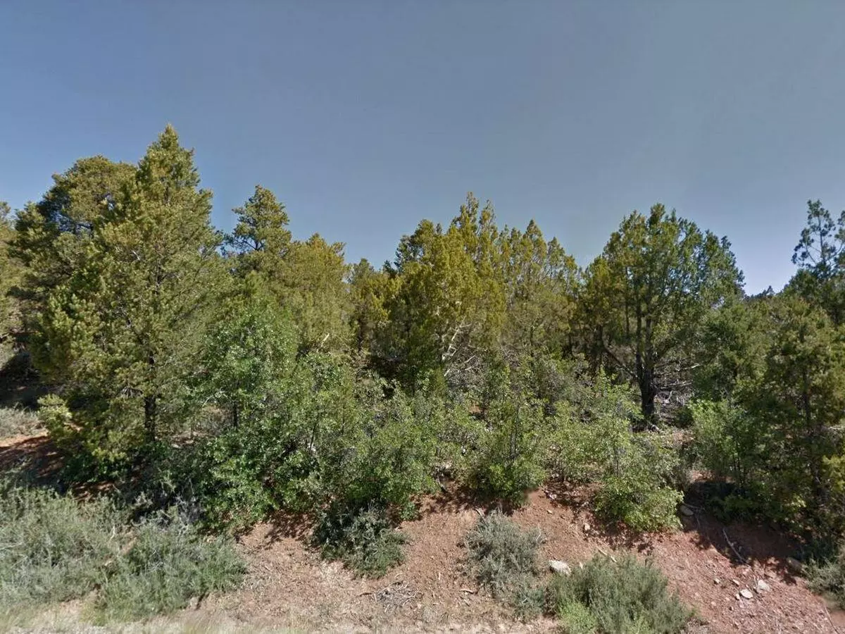 Duck Creek, UT 84762,Lot 25 Zion Hunting Est Blk 2