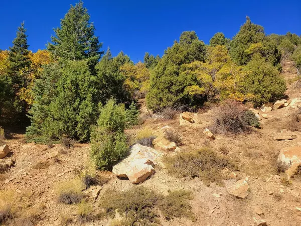 Duck Creek, UT 84762,Lot 18 White Sands Loop