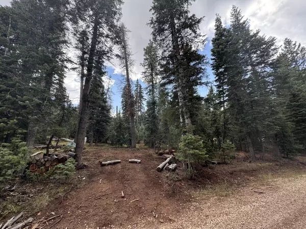 Duck Creek, UT 84762,975 W Twisted Trail