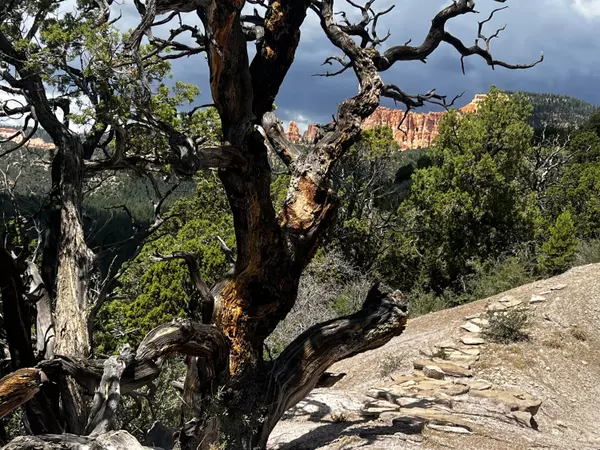 Trail's End Drive  #207, Kanab, UT 84741