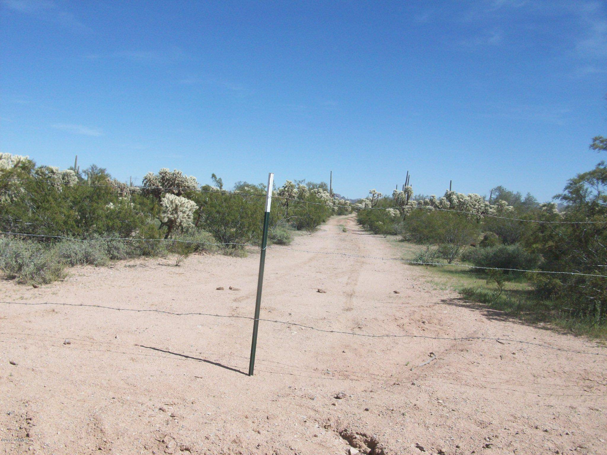 Marana, AZ 85658,E Park Link Drive #0