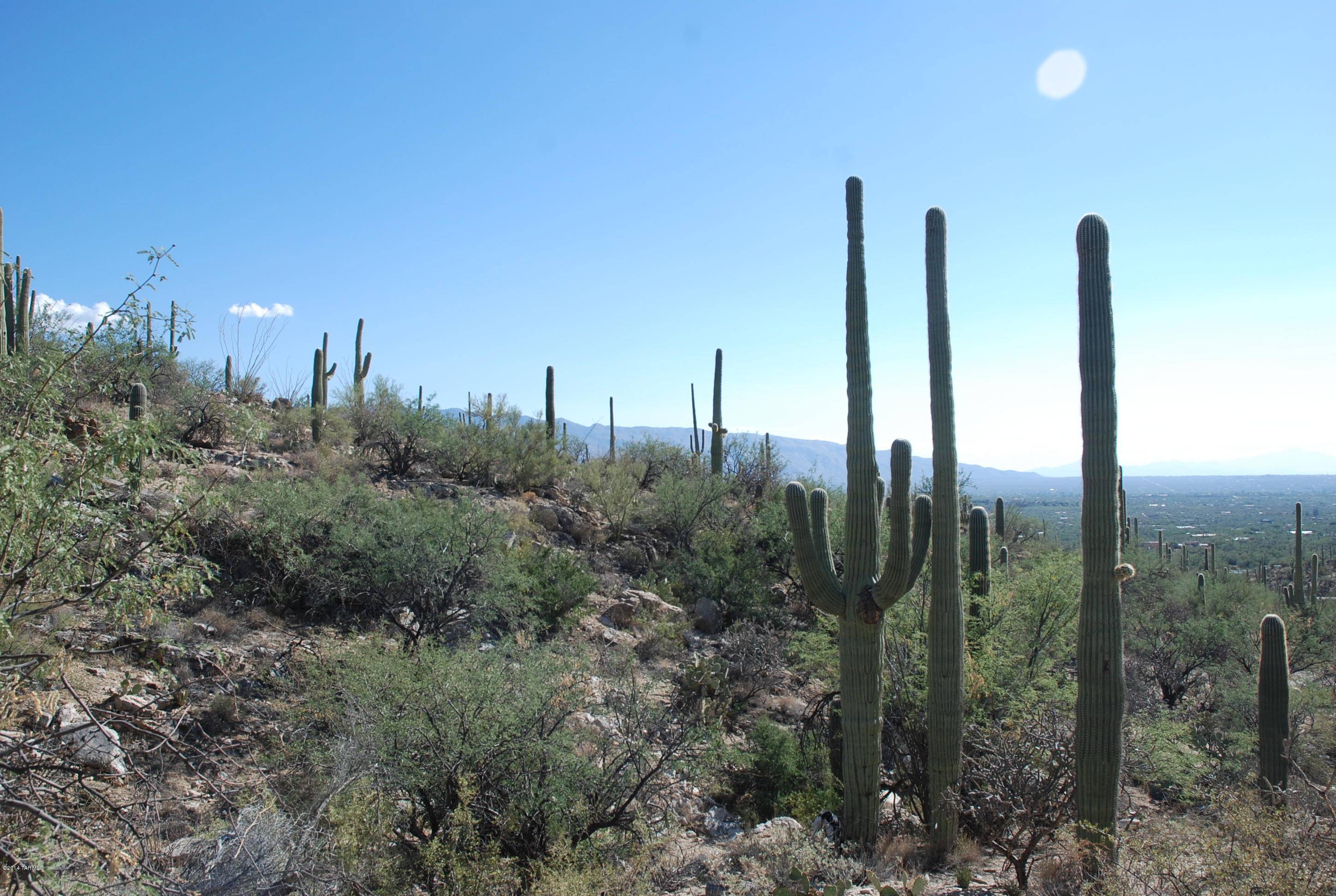 Tucson, AZ 85749,12161 E Coronado Road #Lot 47