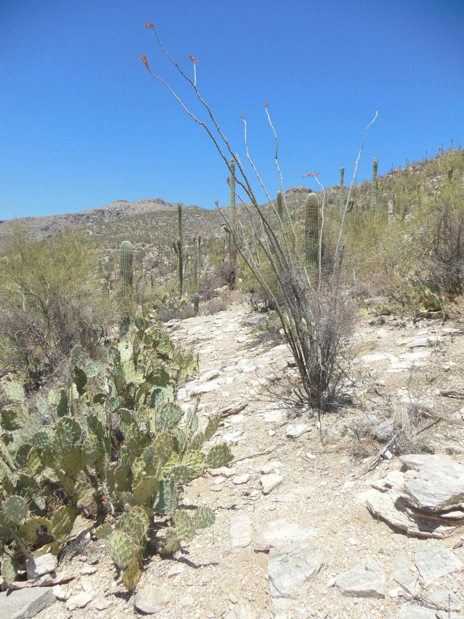 Tucson, AZ 85749,12161 E Coronado Road #Lot 47