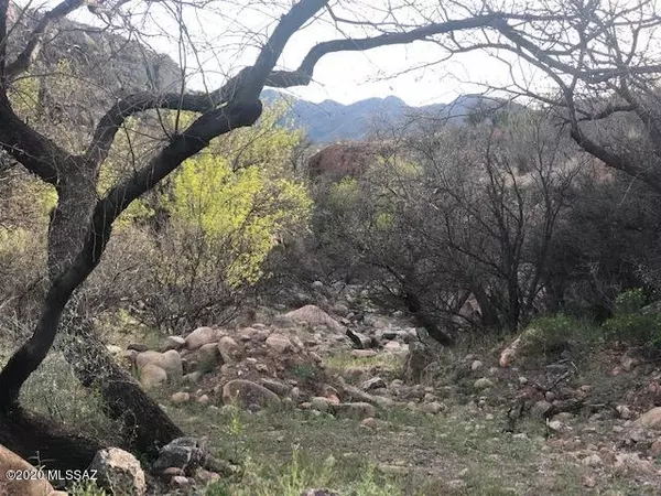 Tubac, AZ 85646,7 Via Suerte #140A