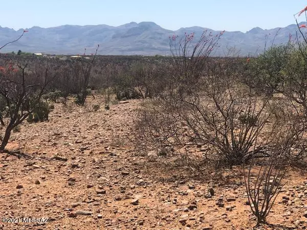 Tubac, AZ 85646,339 Camino Kennedy #80