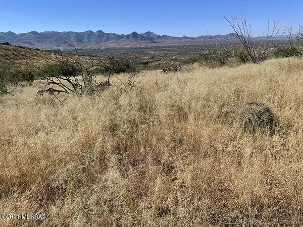 394 Esponja Ct #85, Rio Rico, AZ 85648