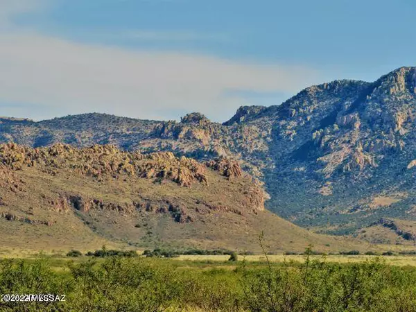 Portal, AZ 85632,Three Triangle Ranches #37 41 Acres  #37