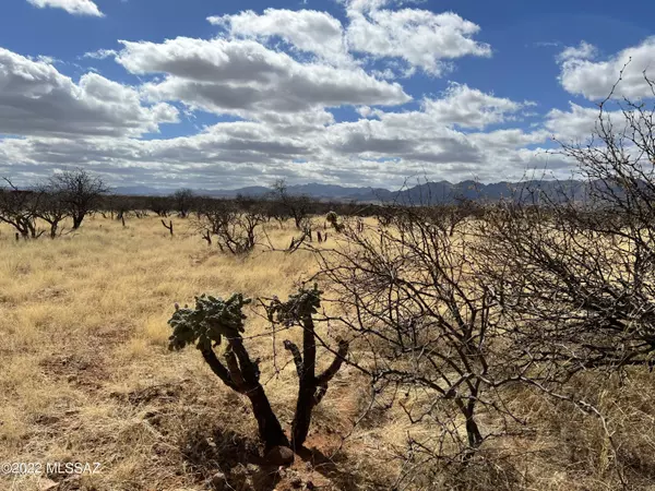 Tubac, AZ 85646,TBD Camino Nacozari/ Camino Talave  #39