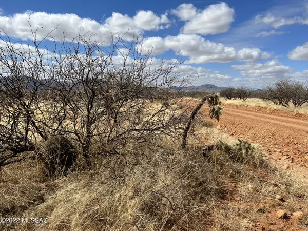 Tubac, AZ 85646,TBD Camino Nacozari/ Camino Talave  #39