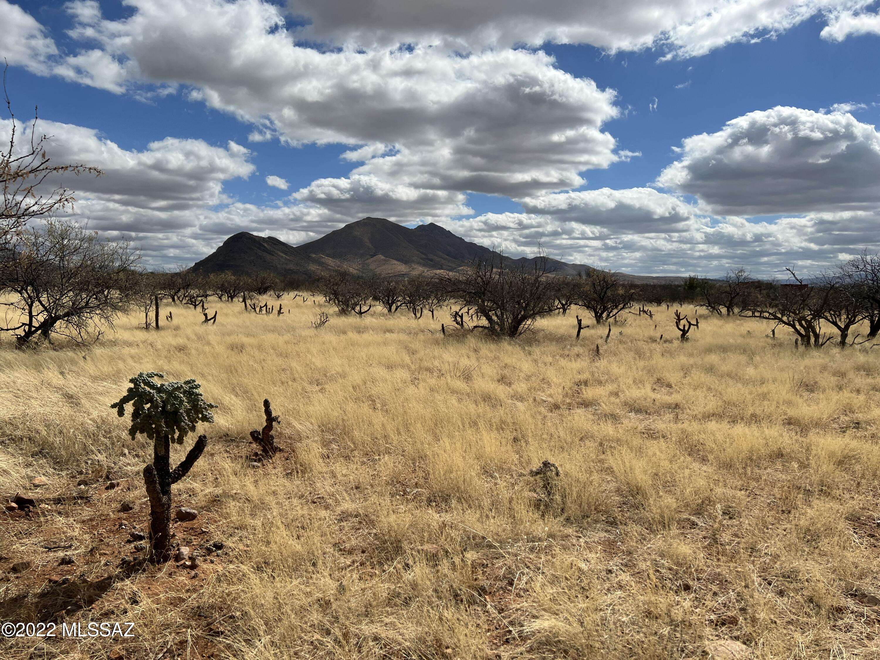 TBD Camino Nacozari/Camino Talaver #39, Tubac, AZ 85646
