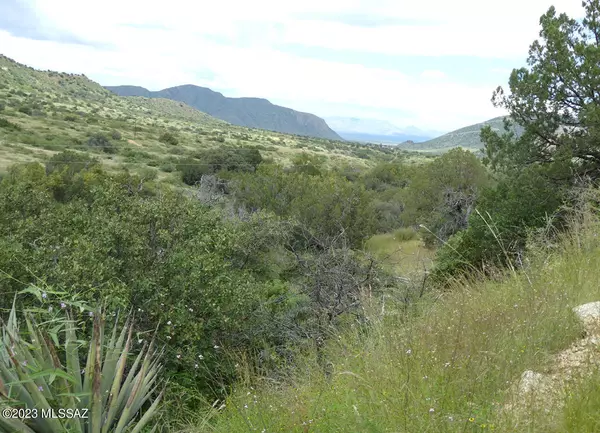 San Simon, AZ 85632,70 ac S Turkey Creek Road #B