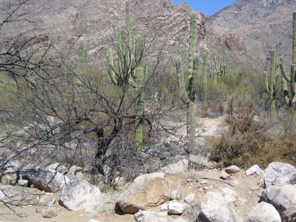Tucson, AZ 85750,6655 N Canyon Crest Drive #8243