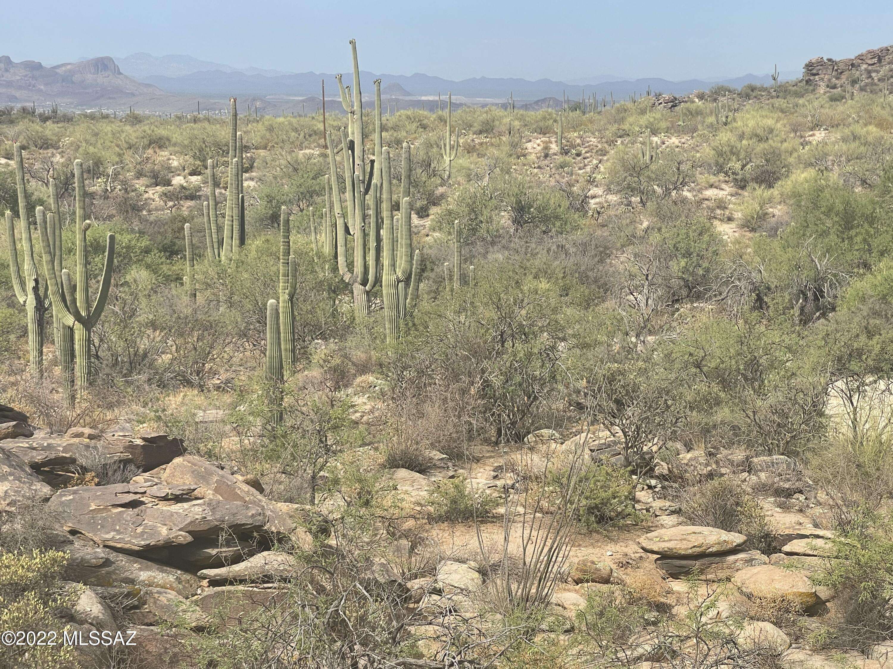 Marana, AZ 85658,13661 N Hidden Rock Place #248