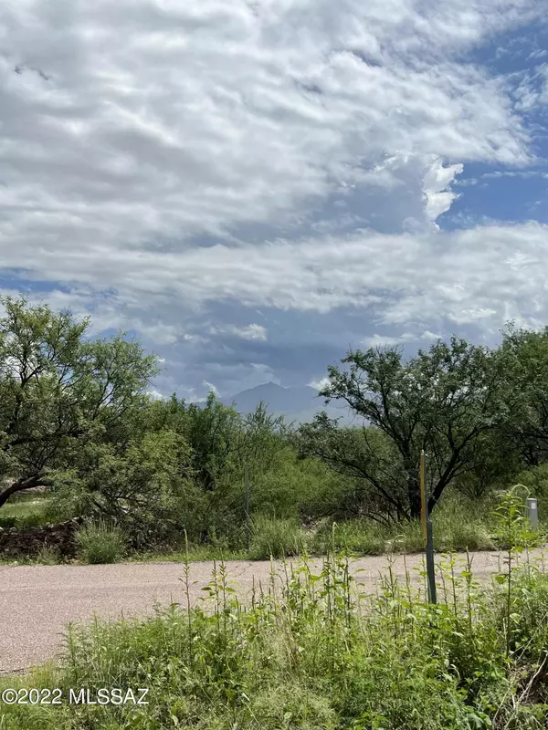 2248 Calle Palo Parado  #87, Tubac, AZ 85646