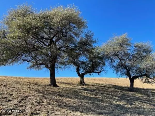 Sonoita, AZ 85637,113 Cayuse Trail