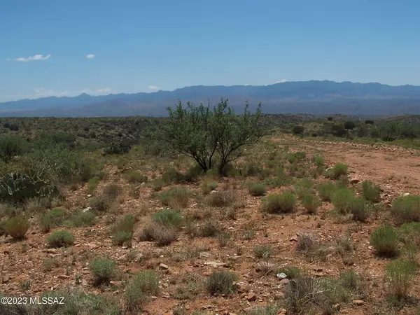 Willcox, AZ 85643,74.66ac 2 Lots Highpoint Rach  #303-311